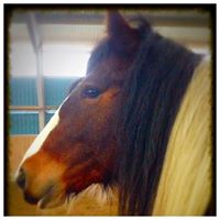 Anne Holmberg Photo 3