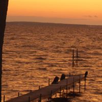 Dawn Thornton Photo 36