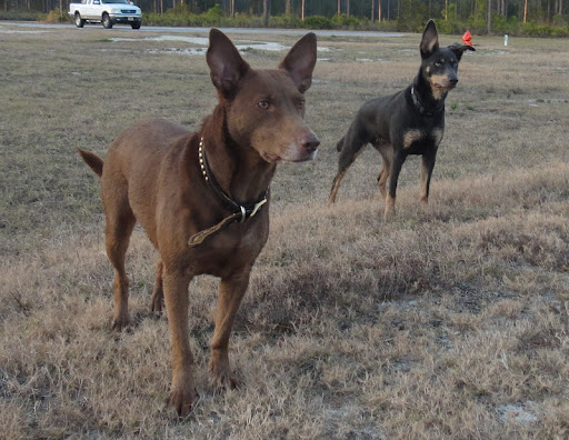 Theresa Strickland Photo 7