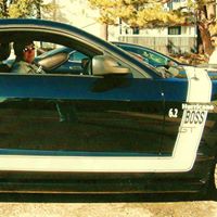 Michael Seely Photo 5