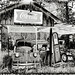 Cindy Pickens Photo 27