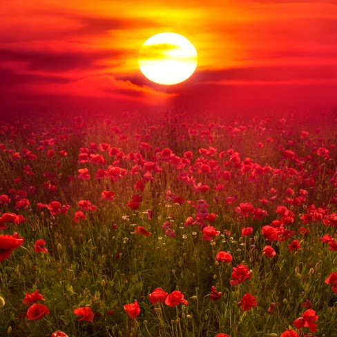 Helen Jenkins Photo 39