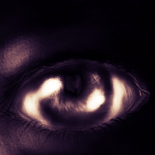 Robert Roth Photo 42