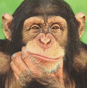 Jonathan Duckworth Photo 10