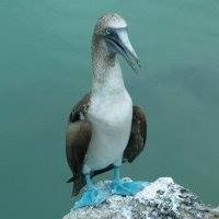 Walter Taylor Photo 16