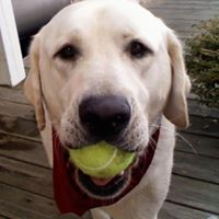 Joanie Newman Photo 5