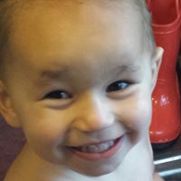 Donna Harding Photo 20