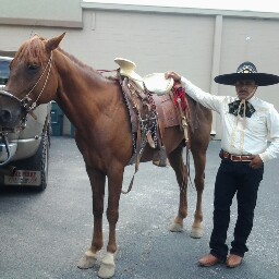 Eli Hernandez Photo 17