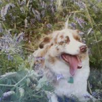 Cindy Moser Photo 11