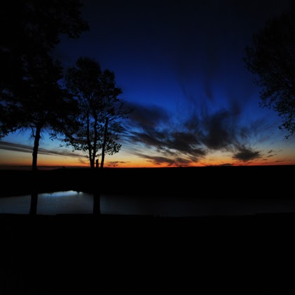 Linda Mccann Photo 15