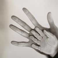 Erin Reilly Photo 19