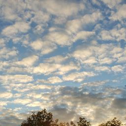 Demond Robinson Photo 21