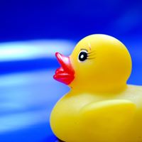 Paula Kramer Photo 2 Paula Kramer Photo 2