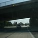 Ronald Porter Photo 41