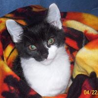 Carol Mccain Photo 15