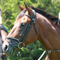 Catherine Ragland Photo 4