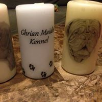 Stephanie Schwartz Photo 13