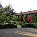 Stephen Libbey Photo 3