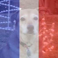 Kimberly Lawrence Photo 7