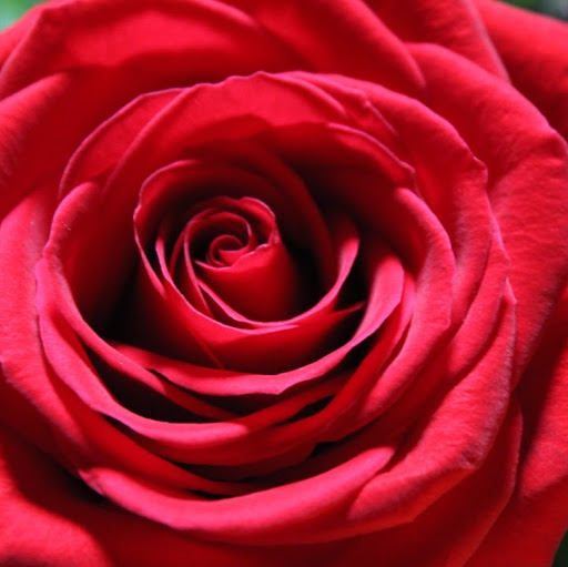 Jenny Barnett Photo 28