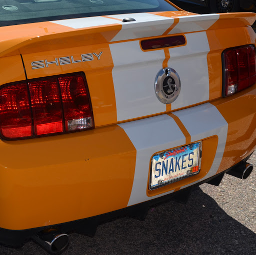 Sara Miller Photo 38 Sara Miller Photo 38