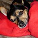Bentley Knotts Photo 6