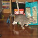 Chase Porter Photo 9