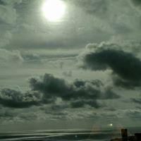 Barbara Steiner Photo 24