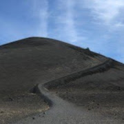 David Adkins Photo 44