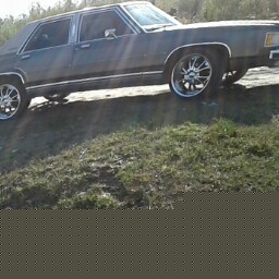 Vanessa Gordon Photo 19