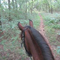 Leslie Perry Photo 30