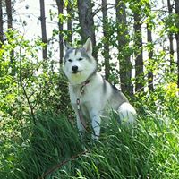 Christine Hoppe Photo 18