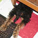 Cheri Montgomery Photo 22