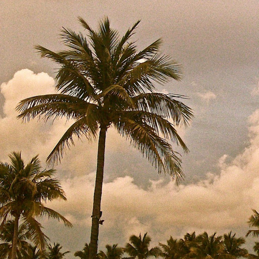 Marsha Jacobs Photo 28