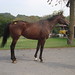 Debbie Slaughter Photo 17