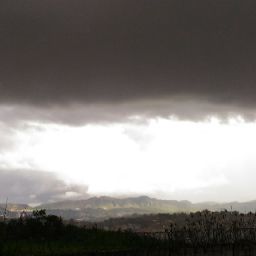 Rick Fernandez Photo 38