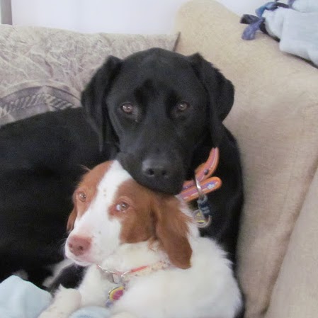 Judy Howell Photo 20