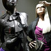 Marcus Gray Photo 11