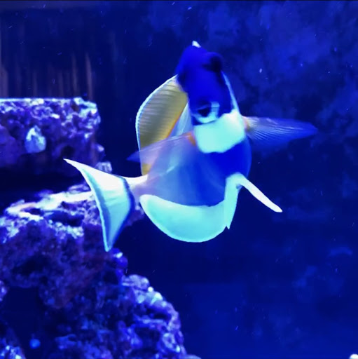 Lawrence Byrd Photo 30