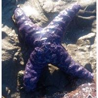 Jill Humphries Photo 9