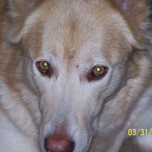Chris Parks Photo 12