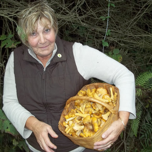 Kristy Cook Photo 12