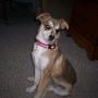 Brenda Olson Photo 37