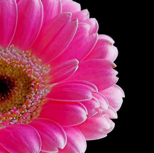 Sylvia Vazquez Photo 5