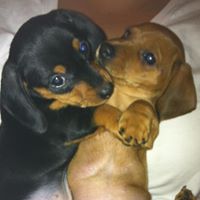 Tracie Skaggs Photo 11