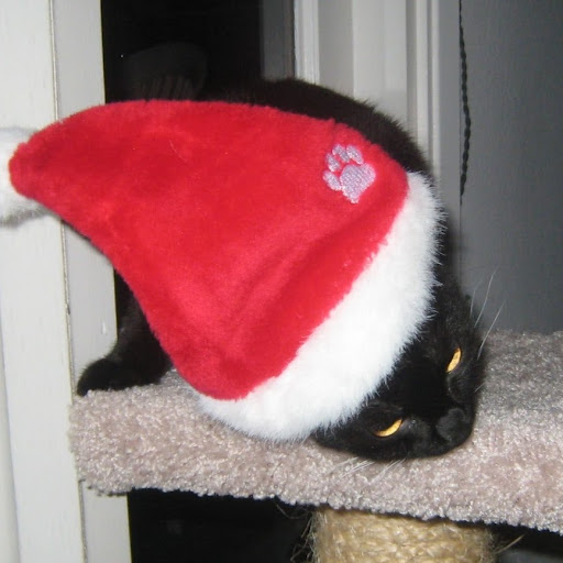 Melanie Noble Photo 6