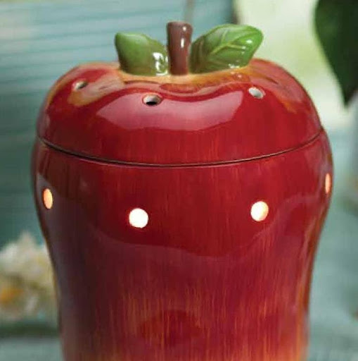 Danielle Hutchinson Photo 12