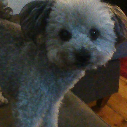 Cecilia Jenkins Photo 3