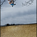 Craig Botts Photo 7
