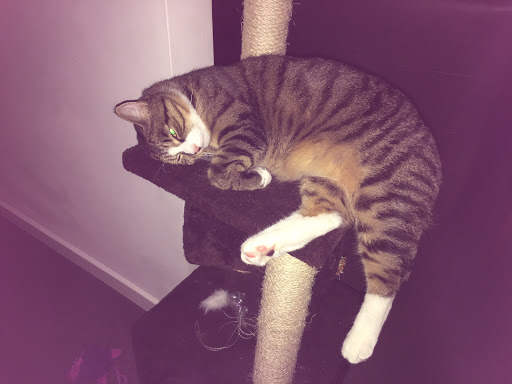 Donna Robertson Photo 8